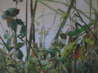 2010.072 | 70 x 50 cm | Acryl auf Leinwand