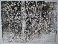2010.092 | 30 x 21 cm | Tuschestift auf Papier